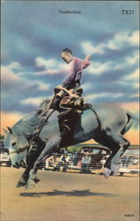 Tenderfoot Rodeo Scene Postcard