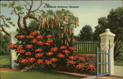 A Bermuda Gateway Postcard