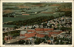 Aeroplane View showing McCleary Div. Mohawk Carpet Mills Amsterdam, NY Postcard Postcard