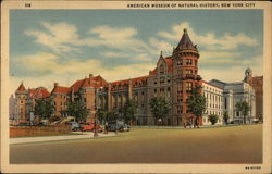 American Museum of Natural History Postcard