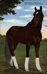 Whirlaway, Winner of 1941 Kentucky Derby Postcard