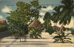 Tahiti Beach, Coconut Grove Miami, FL Postcard Postcard