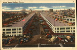 View of the South Water Market Chicago, IL Postcard Postcard