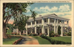 The Old Gamble Mansion Postcard