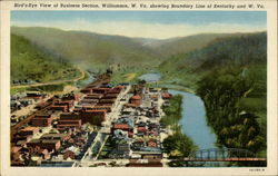 Birds-Eye View of Business Section Williamson, WV Postcard Postcard