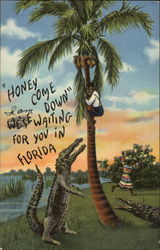 Man treed by crocodile Postcard