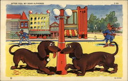 After You, My Dear Alphonse Dogs Postcard Postcard