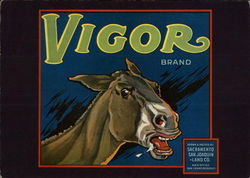 Vigor Postcard