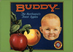 Buddy Apple Crate Label Postcard