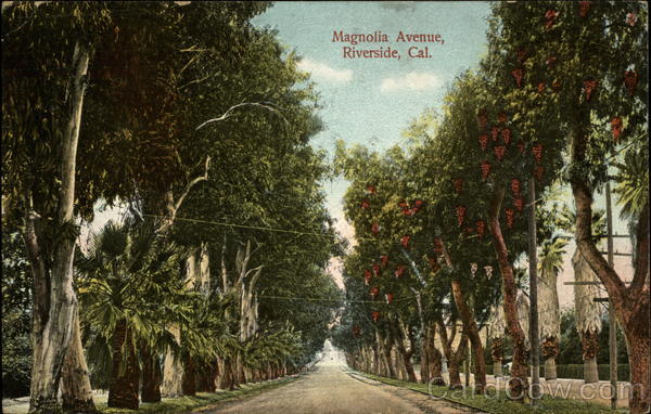 Magnolia Avenue Riverside, CA