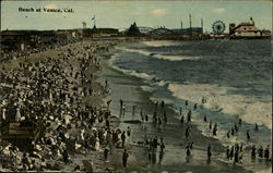 Beach and Amusements Venice, CA Postcard Postcard