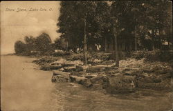 Shore Scene, Lake Erie Postcard