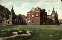 Museum of Natural History Postcard