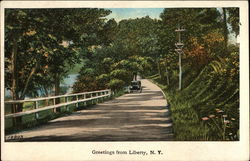 View of tree lined road Liberty, NY Postcard Postcard