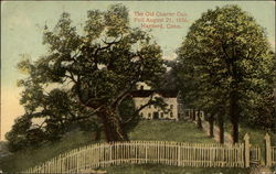 The Old Charter Oak Postcard