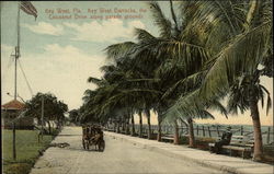 Key West Barracks, the Coconut Drive Along Parade Grounds Postcard