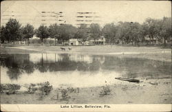 Lake Lillian Belleview, FL Postcard Postcard