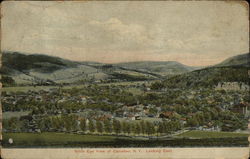 Birds Eye View, Looking East Canisteo, NY Postcard Postcard