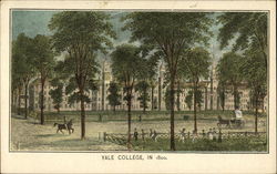 Yale College, in 1800 New Haven, CT Postcard Postcard