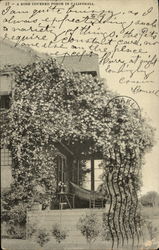 A Rose Covered Porch Postcard