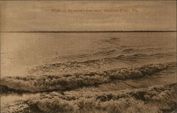 Wake of Manatee River boat Florida Postcard Postcard