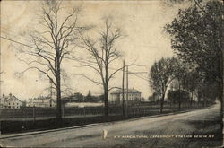 N.Y. Agricultural Experiment Station Geneva, NY Postcard Postcard