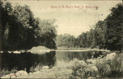 Scene on St. Mary's River Postcard