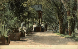 Shady Lane, Elitch's Garden Postcard