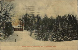 Wincer Scene in Forest Park, No. 7 Postcard