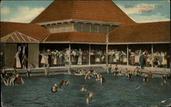 Bathers, Douglas Park Postcard