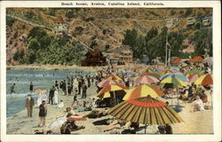 Beach scene Catalina Island Avalon, CA Postcard Postcard