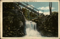 Tiffany Falls, Forest Hill Postcard