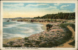 Along the Cliff Drive Postcard