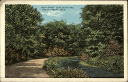 Reed's Lake Boulevard Postcard