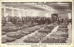 Tobacco Auction Scene Postcard