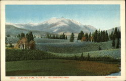 Electric Peak, 11,155 Ft Yellowstone National Park, WY Postcard Postcard