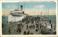 Arrival of Steamer at Avalon Postcard