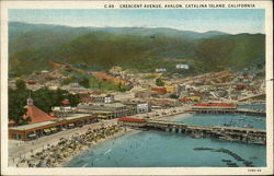 Crescent Avenue, Avalon Postcard