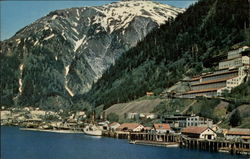 View of the Town Postcard