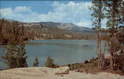 The Shore of Lake Alpine Postcard