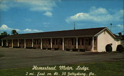 Homestead Motor Lodge Postcard