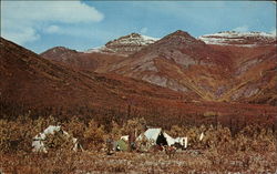 Camping in the Little Delta Postcard