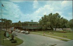 Florida's Silver Springs Postcard