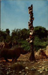 Trapped Safari Disney Postcard Postcard