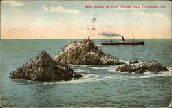 Seal Rocks at Cliff House San Francisco, CA Postcard Postcard