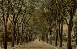 Hawthorn St Postcard