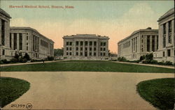 Harvard Medical School Postcard