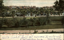 West Lake Park Postcard