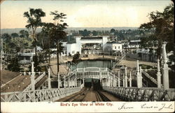 Bird's Eye View of White City Postcard