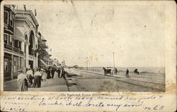 The Boulevard Postcard